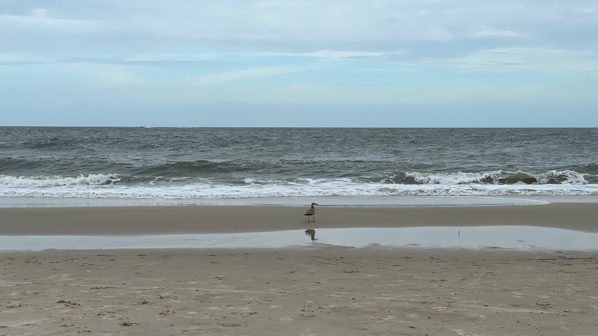 Virginia Beach in Fall
