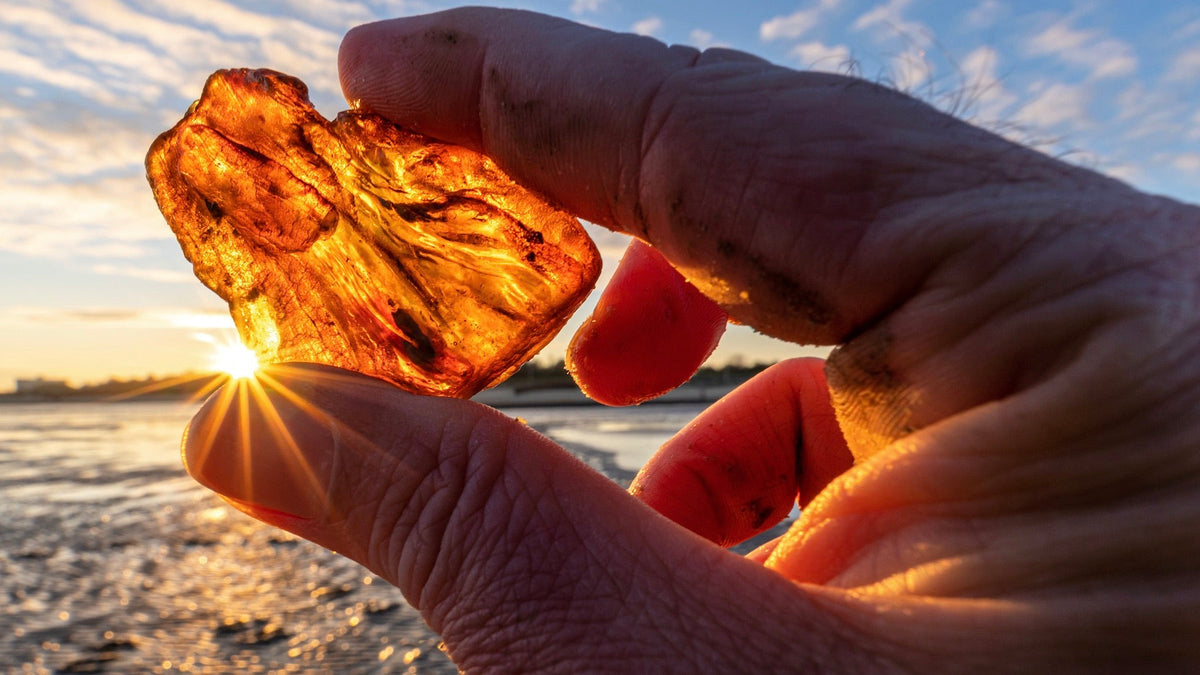 Baltic Amber Information