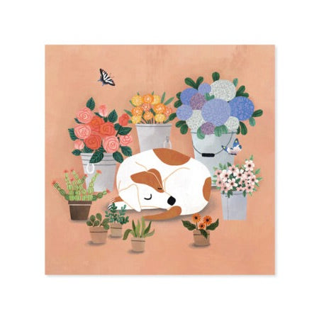 Card Cover