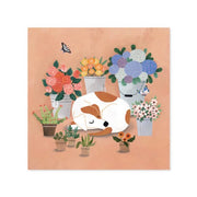 Card Cover