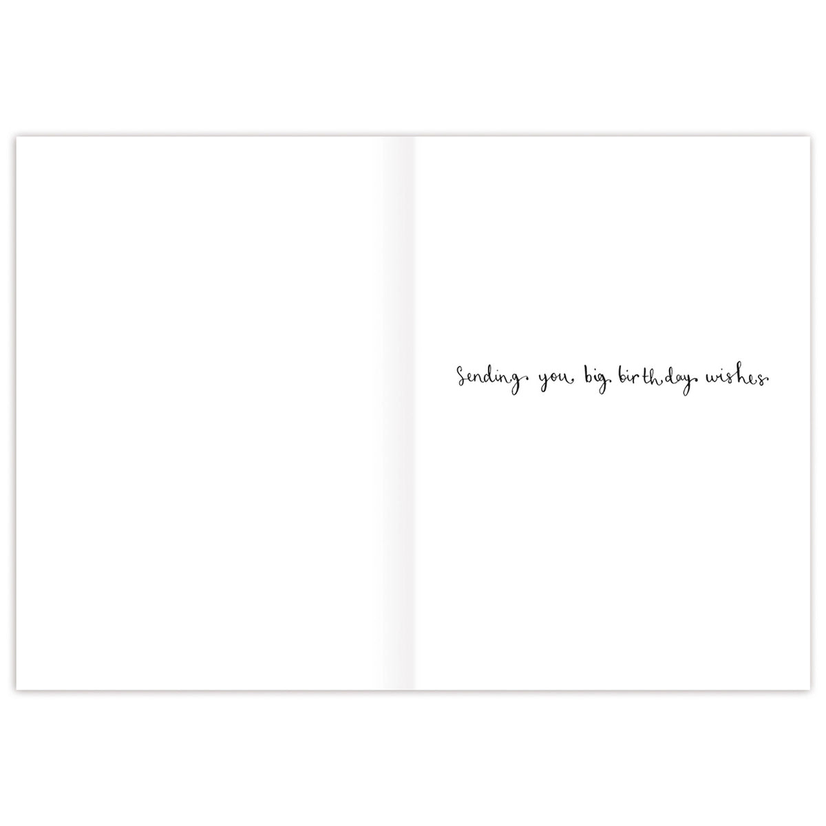 Age is Irrelephant Birthday Card Inside
