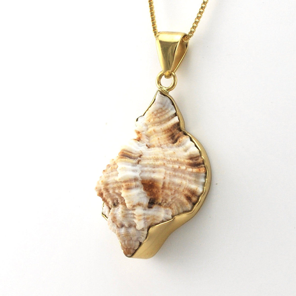 Alchemía Cantharus Shell Pendant