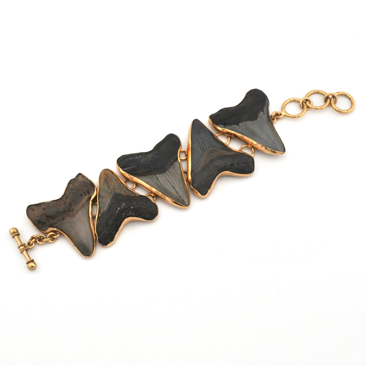 Bracelet with shark teeth on a white background