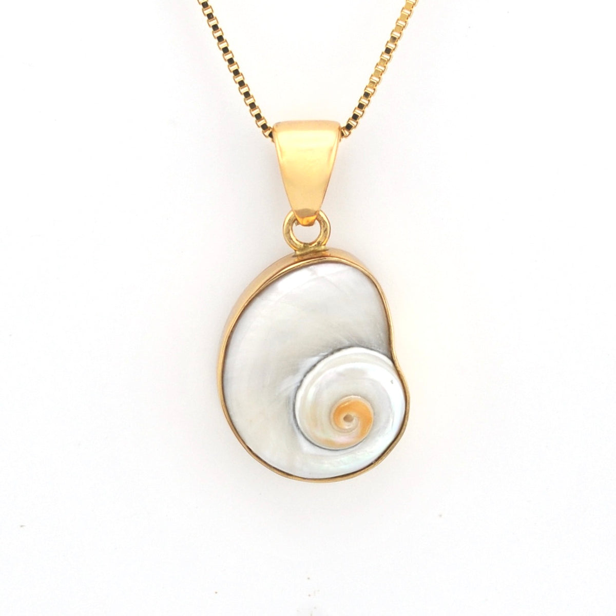 Gold necklace with a shell pendant on a white background
