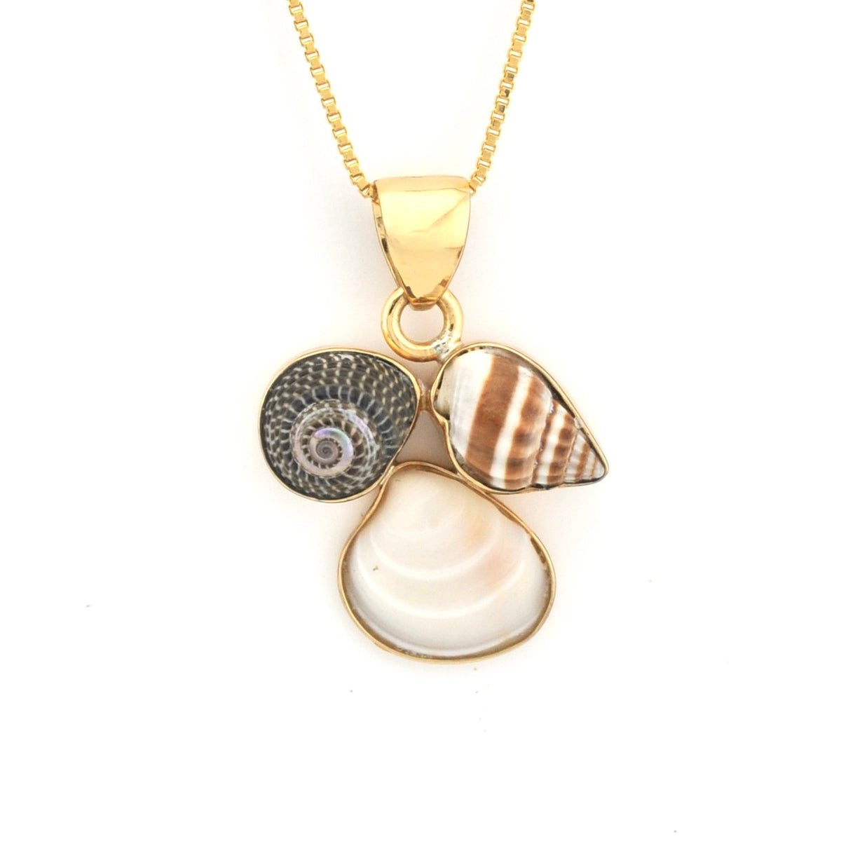 Necklace with shell and pearl pendant on a white background