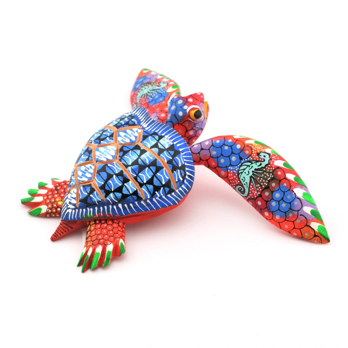 Alternate View Oaxacan Sea Turtle by Diaz
