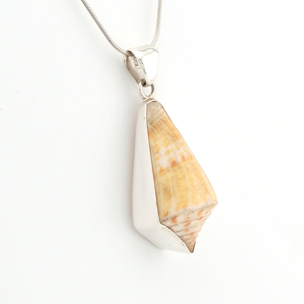 Shell pendant on a silver chain against a white background