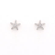 Starfish silver earrings on a white background
