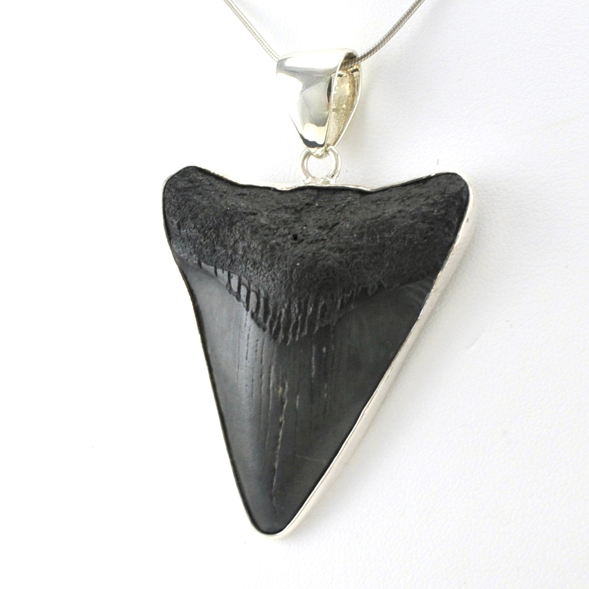 Sterling Silver Fossil Shark Tooth Pendant