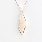 Silver pendant necklace on a white background