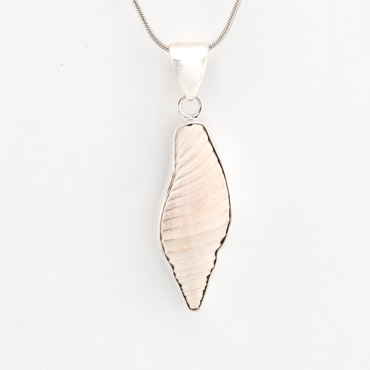 Silver pendant necklace on a white background