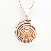 Round shell pendant on a white background