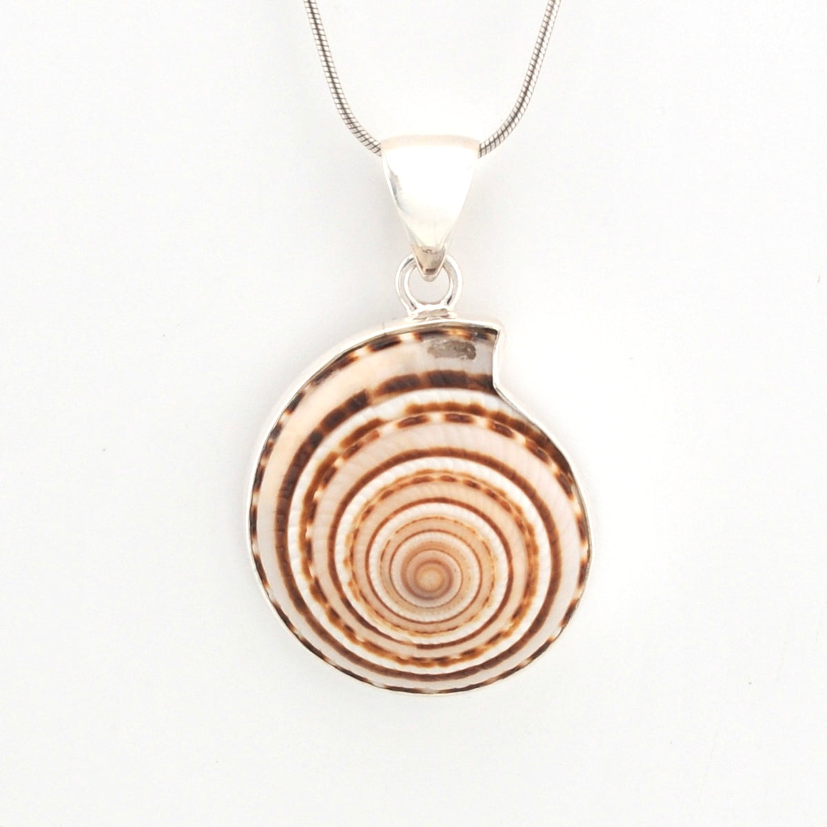 Round shell pendant on a white background