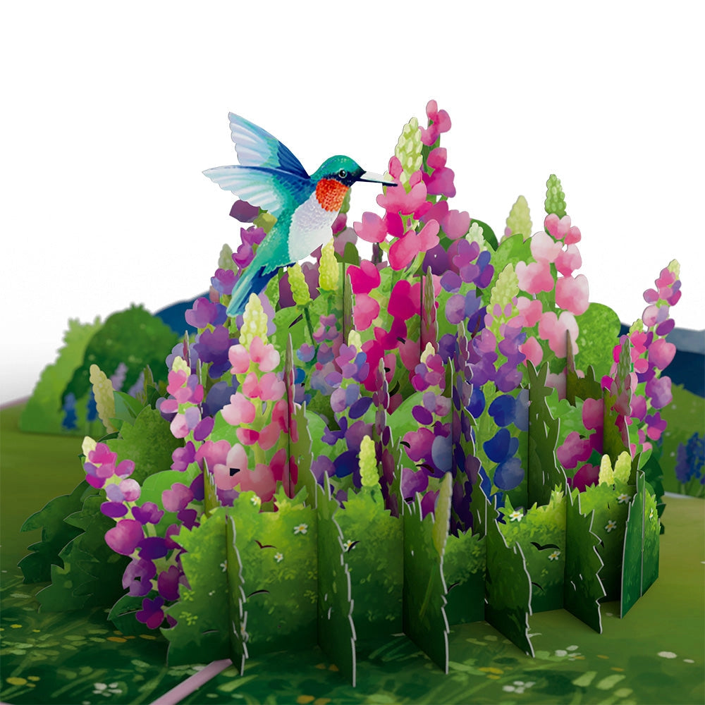 Lupine Hummingbird Pop Up Card