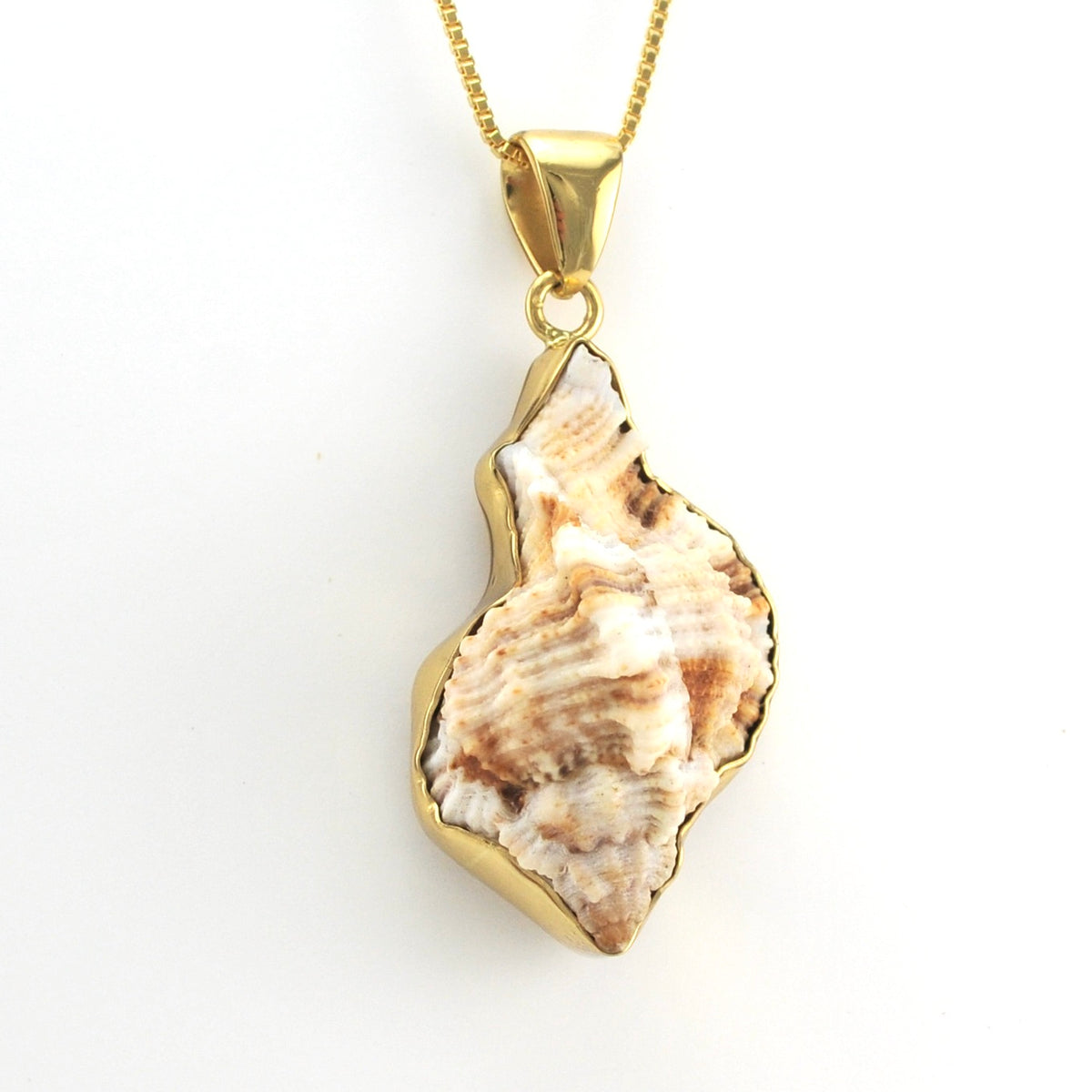 Side View Alchemía Cantharus Shell Pendant