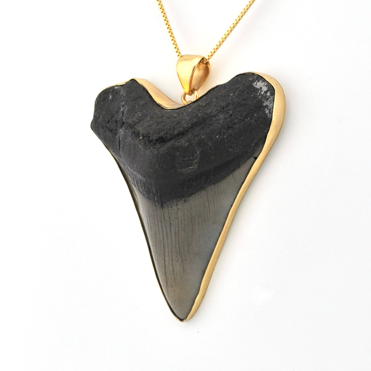 Side View Megalodon Shark Tooth 3.125" Pendant