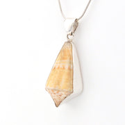 Silver and shell pendant necklace on a white background