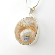 Silver Moon Snail Shell Pendant
