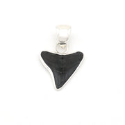 Black shark tooth pendant on a white background