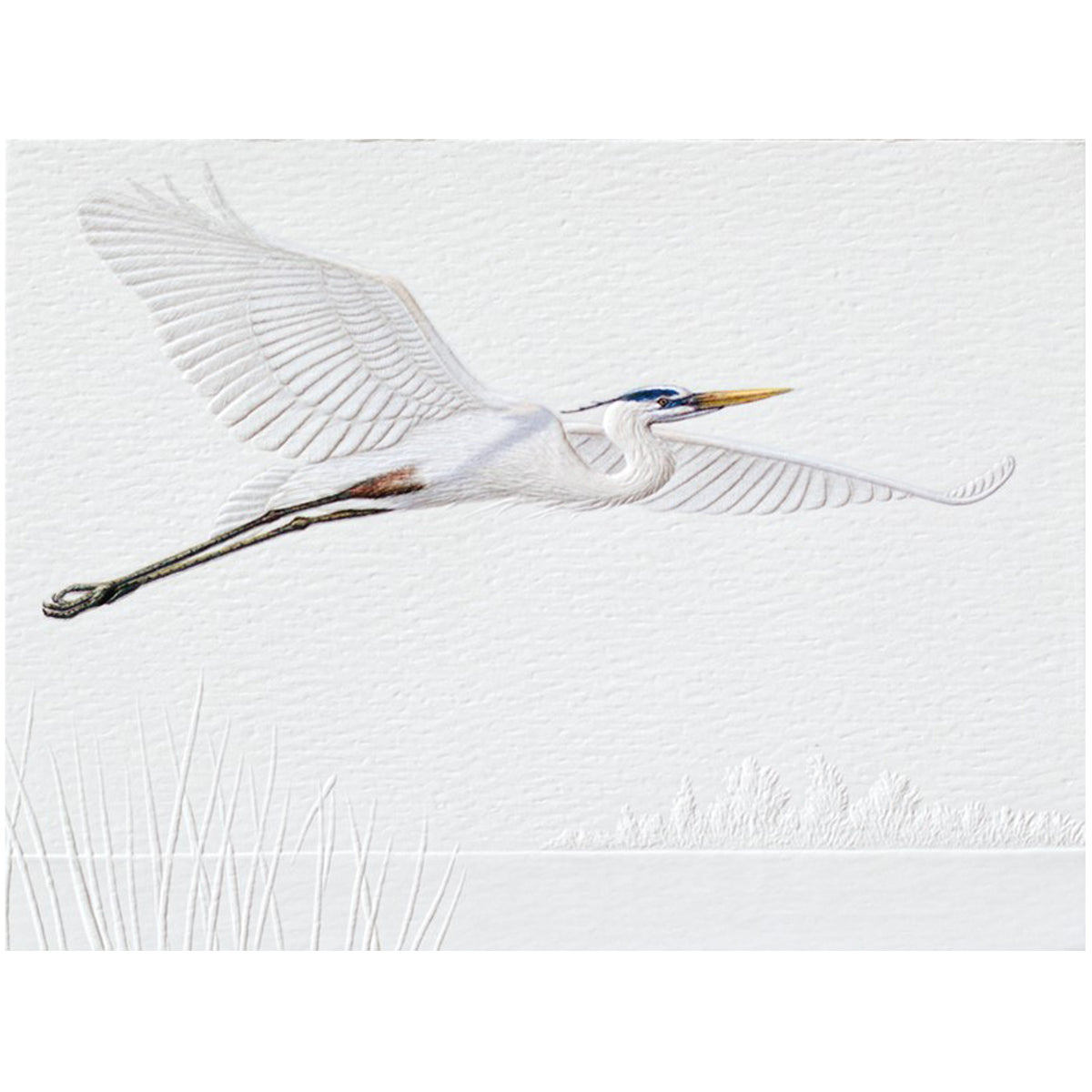 Blue Heron Note Card Set