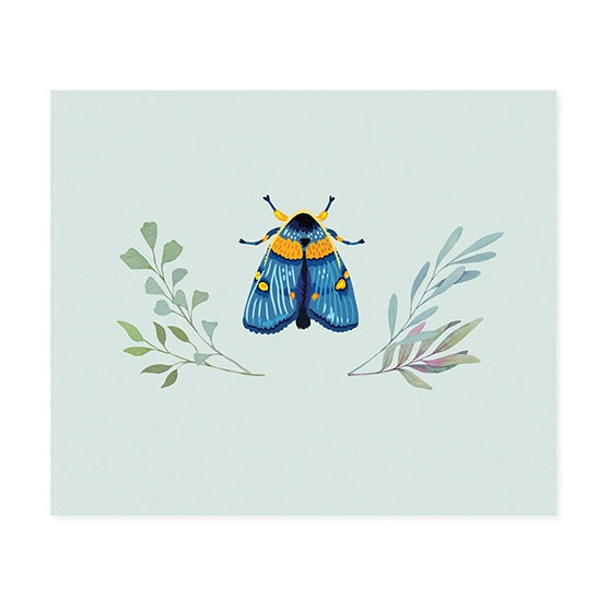 Card Front