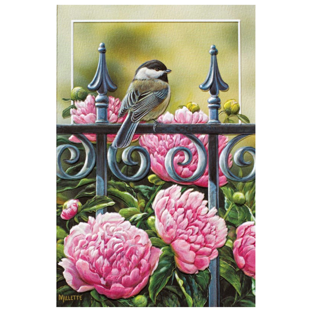 Backyard Beauties Birthday Card