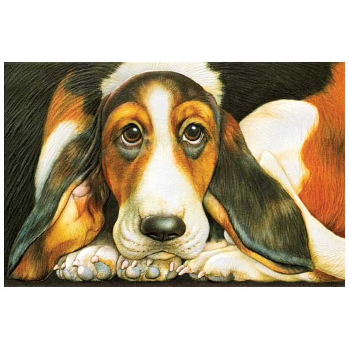 Basset Hound Pet Sympathy Card