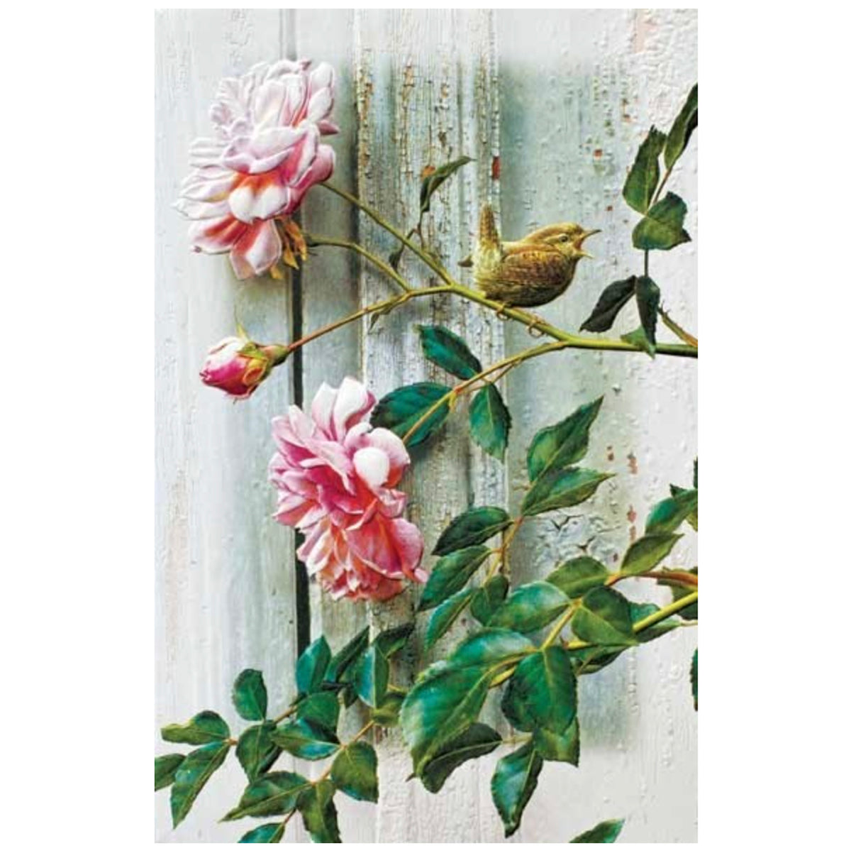 Summer Roses Sympathy Card