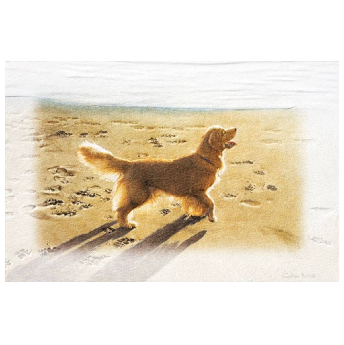 Sally Seaside Birthday Card