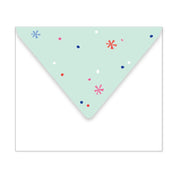 Envelope Detail