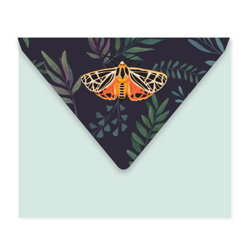 Envelope Detail