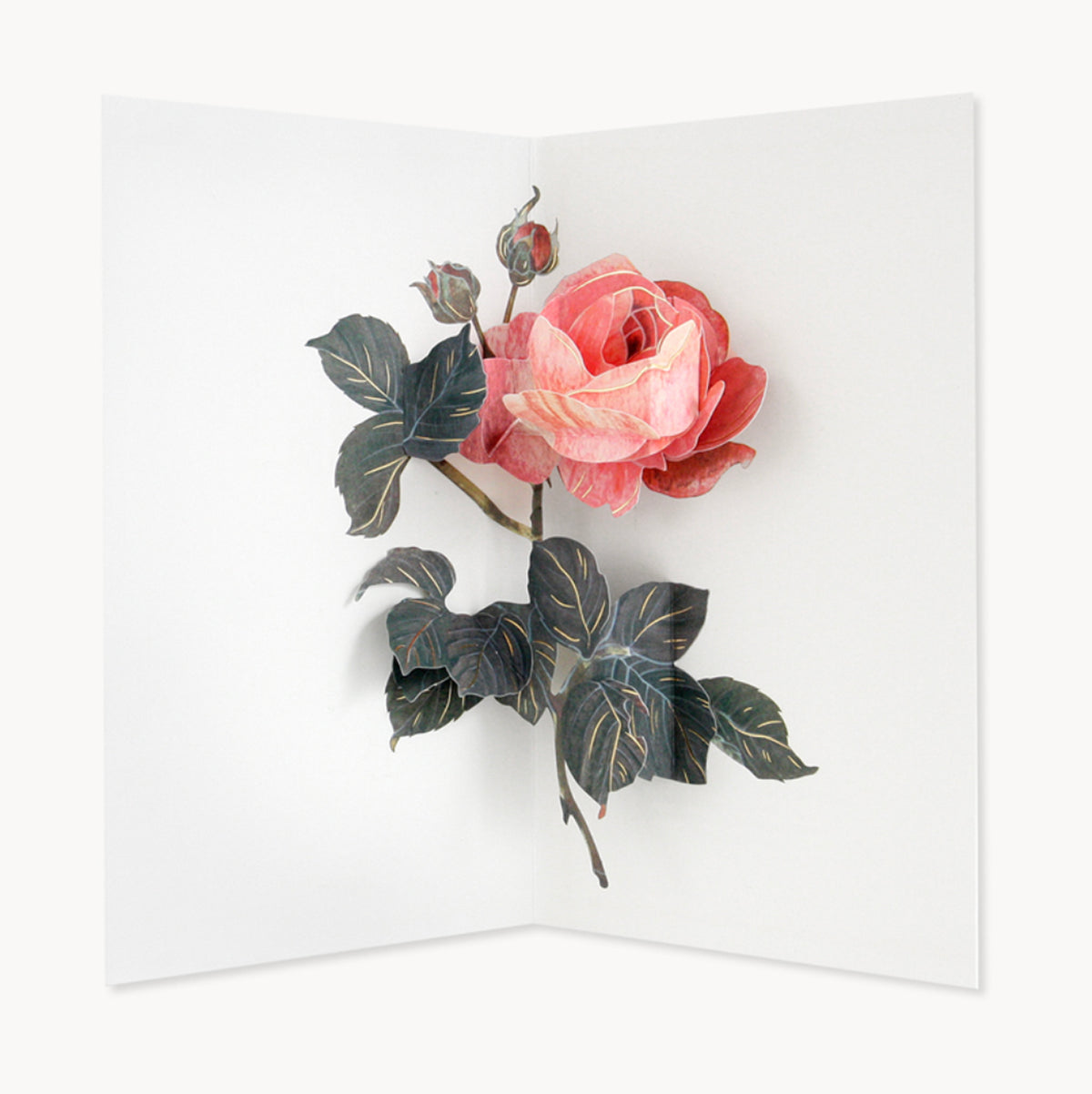 Rose Pop Up Greeting Card