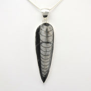 Alt View Silver Orthoceras Pendant