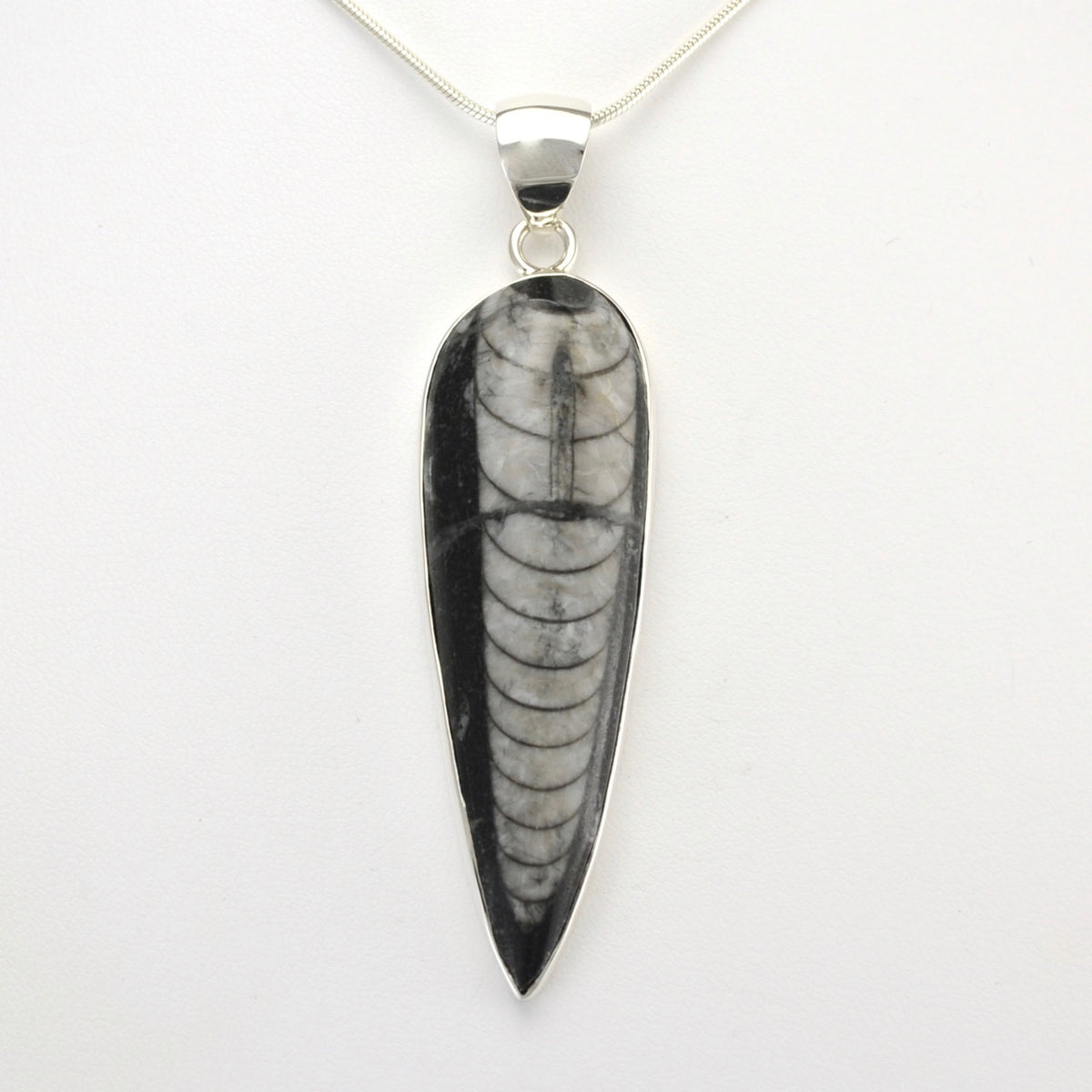 Alt View Silver Orthoceras Pendant