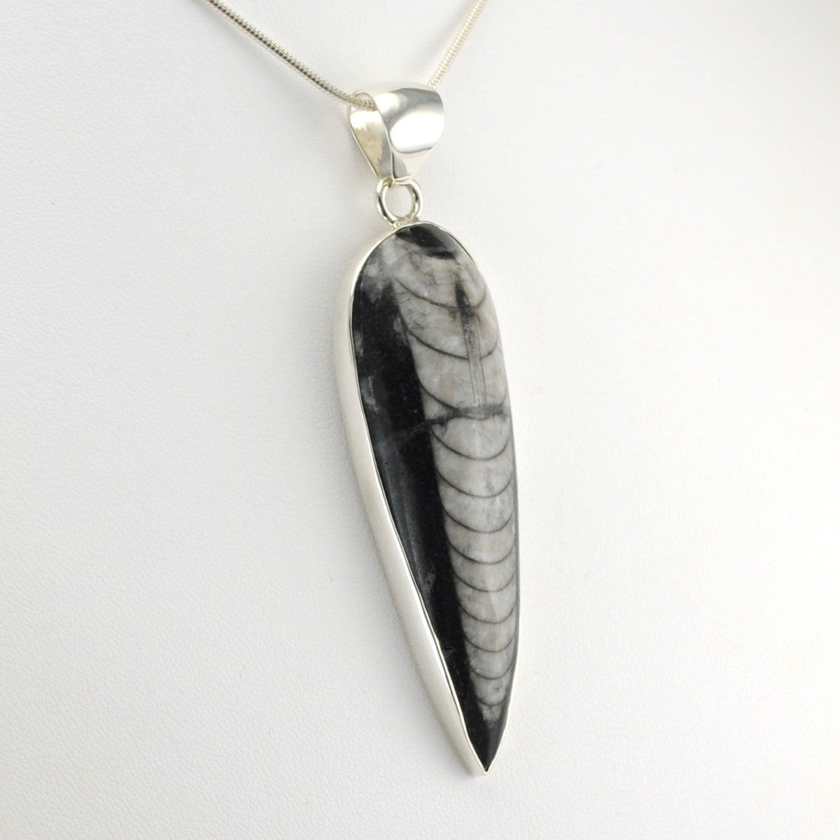 Side View Silver Orthoceras Pendant