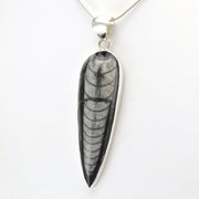 Silver Orthoceras Pendant