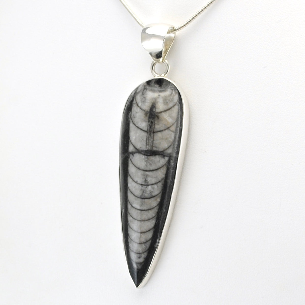 Silver Orthoceras Pendant