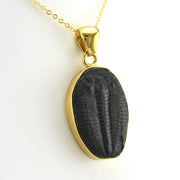 Side View Alchemía Trilobite Pendant